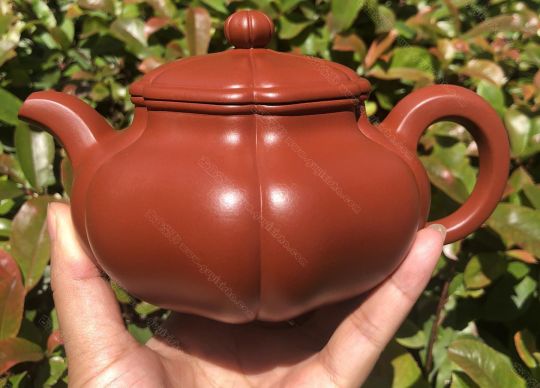 葵仿古；大紅袍450CC